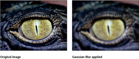 Figure. Canvas showing effect of the Gaussian Blur filter.