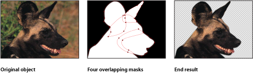 Figure. Canvas window showing four overlapping masks.