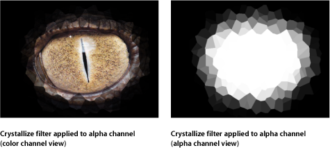 Figure. Canvas window showing a mask with a filter applied.