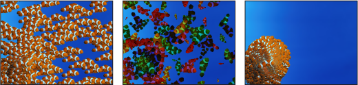 Figure. Canvas window showing different particle systems based on the same cell.