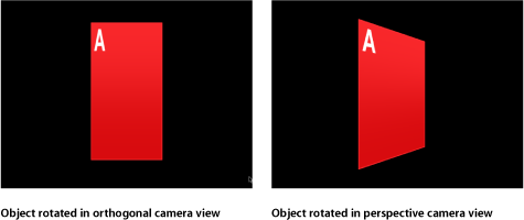 Figure. Canvas window showing an object rotated in orthogonal camera view and in perspective camera view.