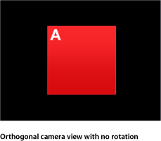 Figure. Canvas window showing an orthagonal camera view with no rotation.