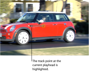 Figure. Canvas window showing the highlight on the track point for the current frame.