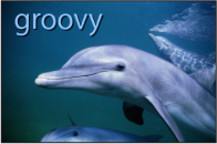 Figure. Canvas window showing text with drop shadow applied.