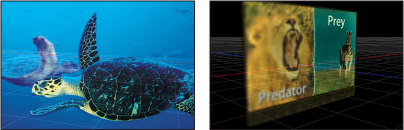 Figure. Canvas showing examples of Depth of Field effect in use.