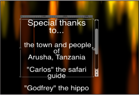 Figure. Canvas window showing text entry field resized with Text tool.
