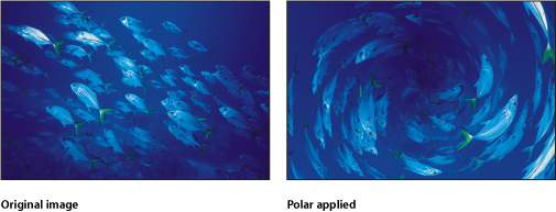 Figure. Canvas showing before and after effect of Polar filter.