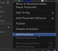 Figure. Animation menu in Inspector.