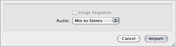 Figure. Import File dialog showing Audio pop-up menu.