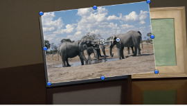 Figure. Canvas window showing a tracked object that doesn't fit the frame.