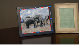 Figure. Canvas window showing a tracked object with a mask applied.