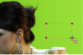 Figure. Dragging a Sample Color box in the Canvas.