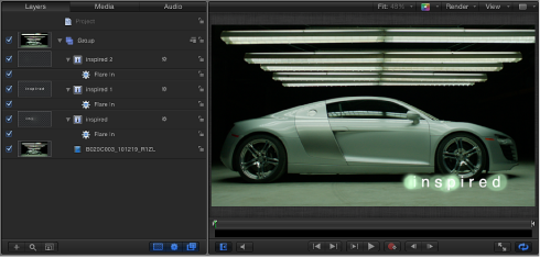 Figure. Canvas window showing Project pane.