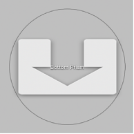 Figure. Canvas with Outer Ring circle set to black outline.