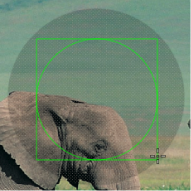 Figure. Drawing a circle mask on the Texture Ring in the Canvas.