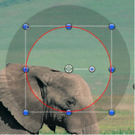 Figure. Result of inverting the circle mask.