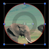 Figure. Result of Circle Mask copy applied to Split Prism Group and the Invert Mask checkbox deselected.
