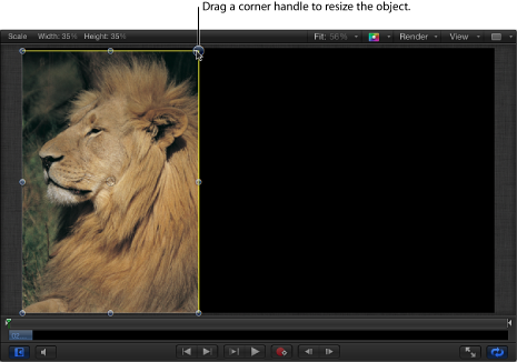 Figure. Canvas window showing an object being resized by dragging its corner handle.