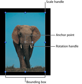 Figure. Canvas window showing the standard object Select/Transform controls.