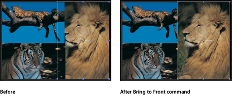 Figure. Canvas window showing an object being brought to the front.