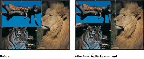 Figure. Canvas window showing an object being sent to the back.