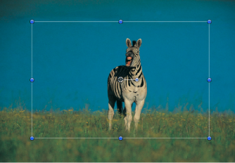 Figure. Canvas window showing a selected object hidden behind another object.