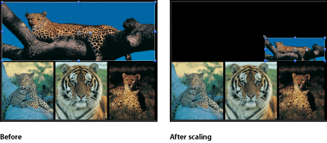 Figure. Canvas window showing a single object being scaled.