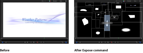 Figure. Canvas window showing the effect of the Expose All Layers command.