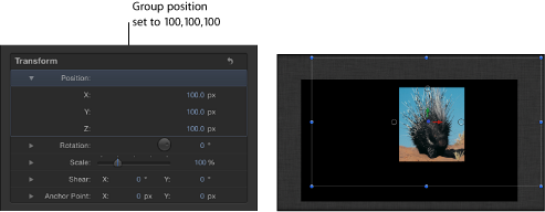 Figure. Canvas and Inspector showing a group placed at coordinates: X=50, Y=50, Z=50.