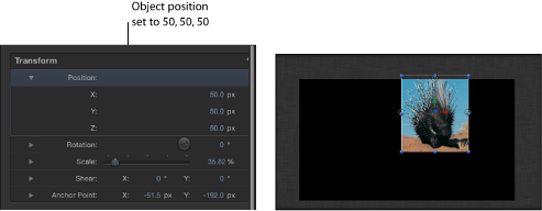 Figure. Canvas and Inspector showing image in a group at coordinate: X=25, Y=25, Z=25.