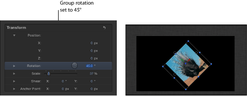 Figure. Canvas showing a group with Z Rotation set to 45 degrees.