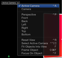 Figure. Canvas window showing Camera menu.