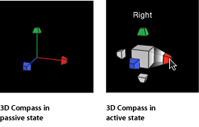 Figure. Canvas window showing 3D Compass in passive and active states.