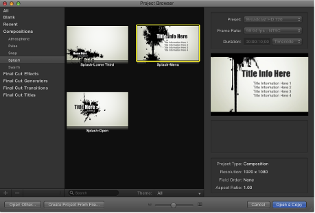 Figure. Project Browser showing custom preview.