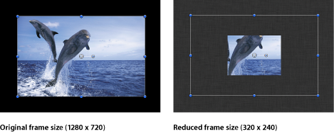 Figure. Canvas window showing reduced frame size.