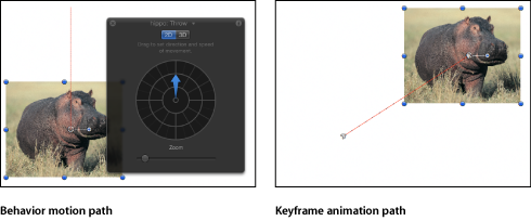 Figure. Canvas window showing difference between a behavior motion path and a keyframe animation path.