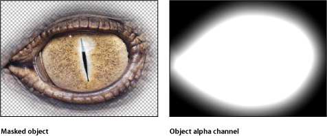 Figure. Canvas window showing a masked object and the corresponding alpha channel.