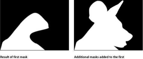 Figure. Canvas window showing two masks added together.