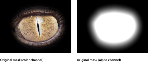 Figure. Canvas window showing a mask with no filters applied.