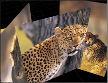 Figure. Canvas window showing a group of objects.