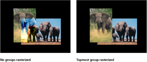 Figure. Canvas window showing 2D groups before and after rasterization.