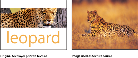 Figure. Canvas window showing original text layer and texture source.