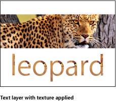 Figure. Canvas window showing text with texture applied.