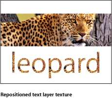 Figure. Canvas window showing text with texture repositioned.