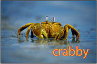 Figure. Canvas window showing text with outline applied.