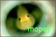 Figure. Canvas window showing text with glow applied.