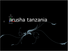 Figure. Canvas showing onscreen controls for individual text sequence animation.