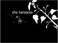 Figure. Canvas showing Sequence Text behavior with position keyframes.