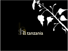 Figure. Canvas showing Sequence Text behavior with glow setting adjusted.