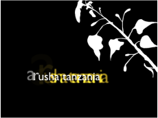 Figure. Canvas showing Sequence Text behavior with glow settings scaled and offset.